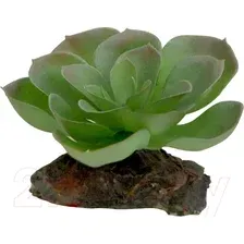 Искусственное растение Lucky Reptile Echeveria IF-83 (зеленый/красный)