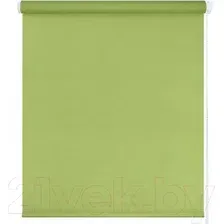 Рулонные шторы Legrand Декор 42.5x175 (зеленый)