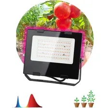 Садовый светильник ЭРА FITO-50W-RB-LED