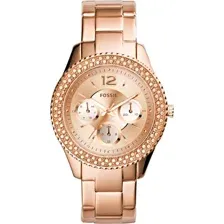 Наручные часы Fossil ES3590