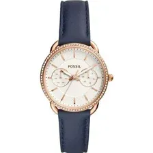 Наручные часы Fossil ES4394