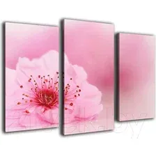 Модульная картина Arthata m-000269 75x50