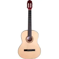 Акустическая гитара Terris TC-395A NA