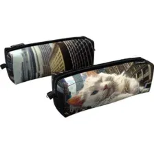 Пенал Erich Krause Big City Cats 62871