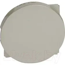 Декоративная заглушка Legrand Celiane 68443 (титан)