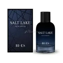 Вода туалетная для мужчин BI-ES Salt Lake, 100 мл