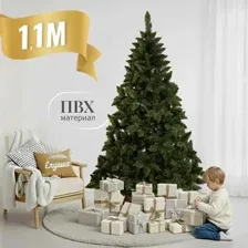 Ель Ёлушка Невская ЕНЕВ 11 (1.1м)