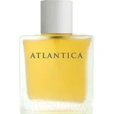 Туалетная вода Dilis Atlantica Taboo (100мл)