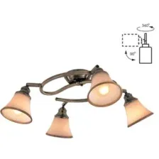 Спот Citilux Прованс CL511143