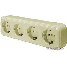 Розетка Элект RA16-466-БЖ
