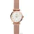 Наручные часы Fossil Carlie Mini ES4433