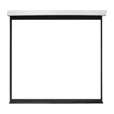 Проекционный экран Future Vision Video 200 220x165 W220VMW