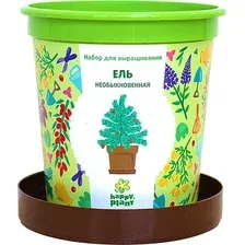 Набор для опытов Happy plant Ель необыкновенная hpn-10