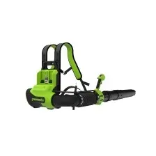 GREENWORKS GD40BPG2 (2408107)