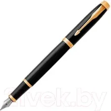 Ручка перьевая Parker IM Metal Black GT 1931645