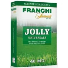 Семена газонной травы Franchi Sementi Веселый луг, 1кг