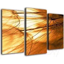 Модульная картина Arthata m-000221 75x50