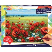 Картина по номерам MultiArt CANV40X50-115963