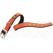 Ошейник Ferplast Dual Colours CF25/53 (оранжевый)