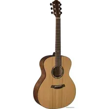 Акустическая гитара Baton Rouge AR21C/A