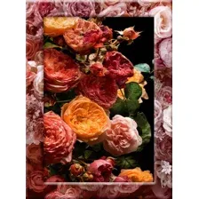 Картина Vimala На холсте 50x70 Арт 43