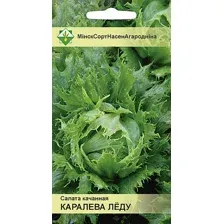 Салат Королева льда кочанный 0.5г (семена)