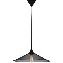 Потолочный светильник Lussole Loft GRLSP-9813