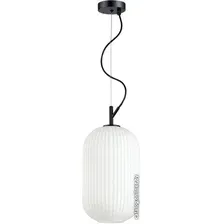 Подвесная люстра Odeon Light Roofi 4751/1