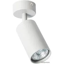 Спот Arte Lamp Aquarius A3216PL-1GY