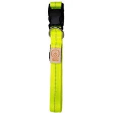 Ошейник Duvo Plus 1270017/DV (желтый)