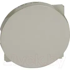 Декоративная заглушка для розетки Legrand Celiane 68443 (титан)