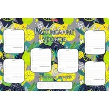 Расписание уроков Erich Krause Lime А3 55998