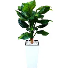 Искусственное растение Forgarden Диффенбахия BN11128