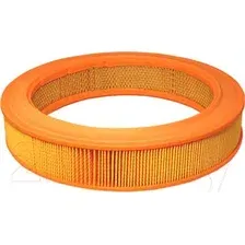 Воздушный фильтр Filtron AR339