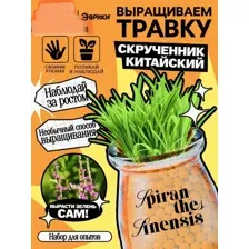 Набор для опытов Выращиваем травку своими руками, оранжевый, набор для выращивания растений, Эврики creative, арт. 10762661, набор для творчества, подарок на день рождения, Новый год, подарки для групп в сад, новогодний подарок, подарок на новый год
