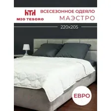 Одеяло Mio Tesoro Маэстро 220х205