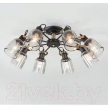 Люстра Евросвет Astor 70111/8 (черный)