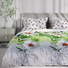 Комплект постельного белья ВАСИЛИСА Delight 1.5сп 70x70 3753/1