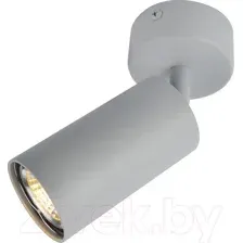 Спот Arte Lamp Aquarius A3216PL-1GY