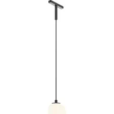 Трековый светильник Maytoni TR178-1-5WTW-B