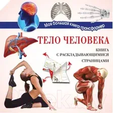 Энциклопедия АСТ Тело человека (Усова И.)