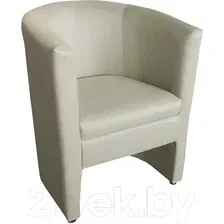 Интерьерное кресло Лама-мебель Рико (Teos Canvas)