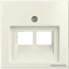 Накладка для компьютерной/телефонной розетки ABB Basic 55 1753-0-0097