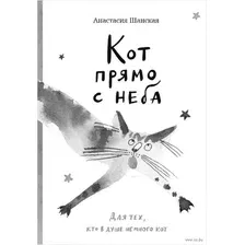 Художественная книга Издательство Самокат Кот прямо с неба (Шанская Анастасия)