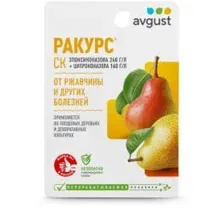 Ракурс 10мл