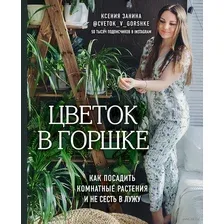 Цветок в горшке. Как посадить комнатные растения и не сесть в лужу