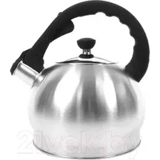 Чайник со свистком TimA WTK196