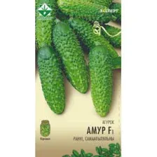 Огурец Амур F1, 10 шт