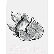 Картина Stamprint Фрукты 2 КС008 (45x35см)