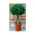 Искусственное растение FORGARDEN Самшит Boxwood topiary 90 см 